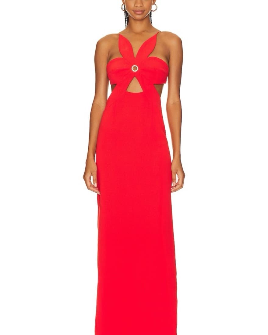 Revolve/ Ronny Kobo Raiza Dress - Image 1