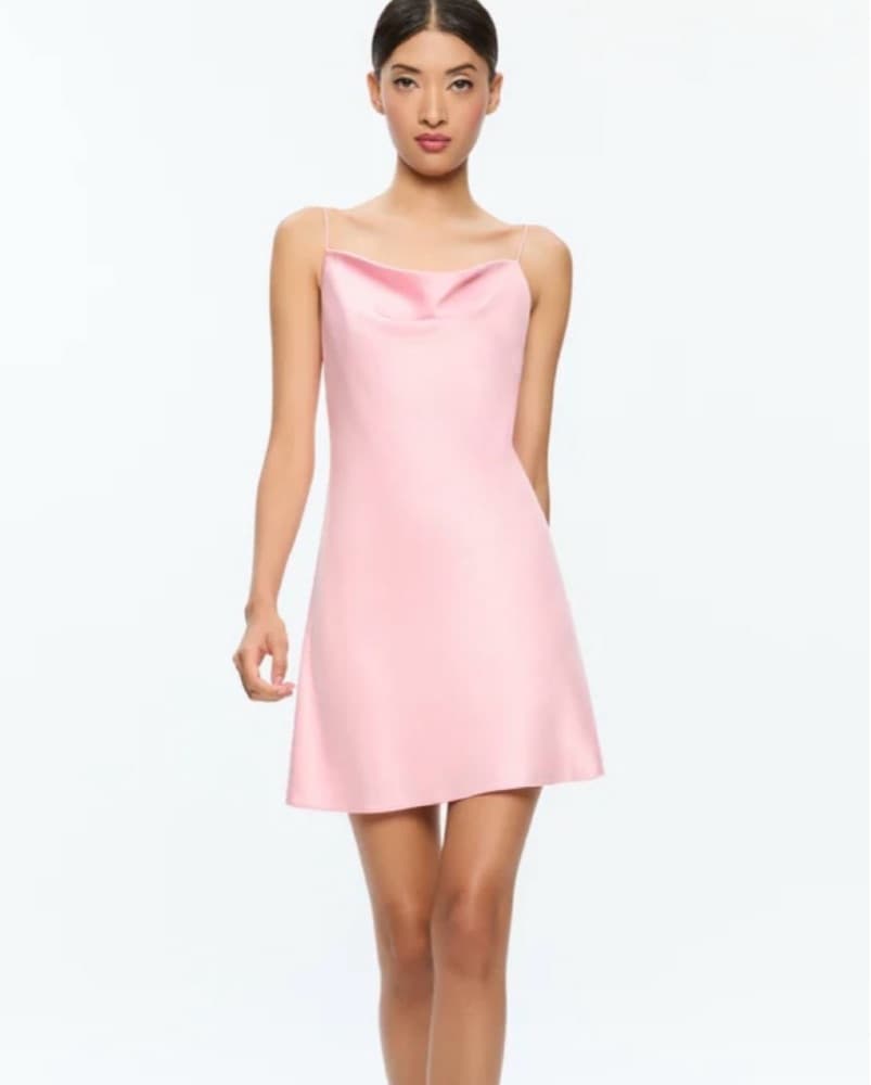 Alice and Olivia mini dress - Image 1