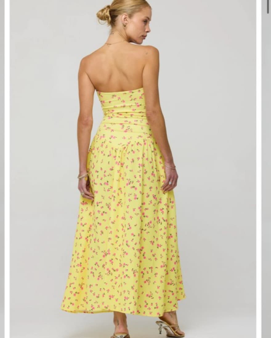 Resa Mackenzie Dress In Honey - Image 4