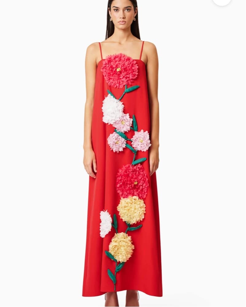Elliatt Buttercup Embroidered Maxi Dress - Image 1
