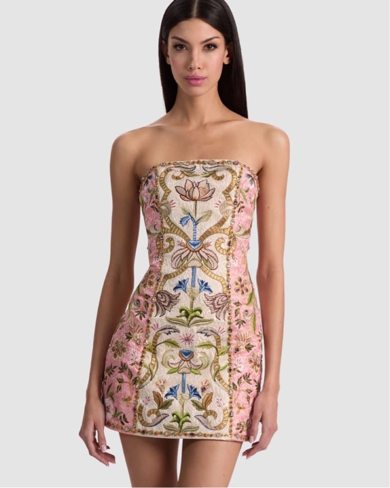 Alice and Olivia Mini Dress (size 6) - Image 1