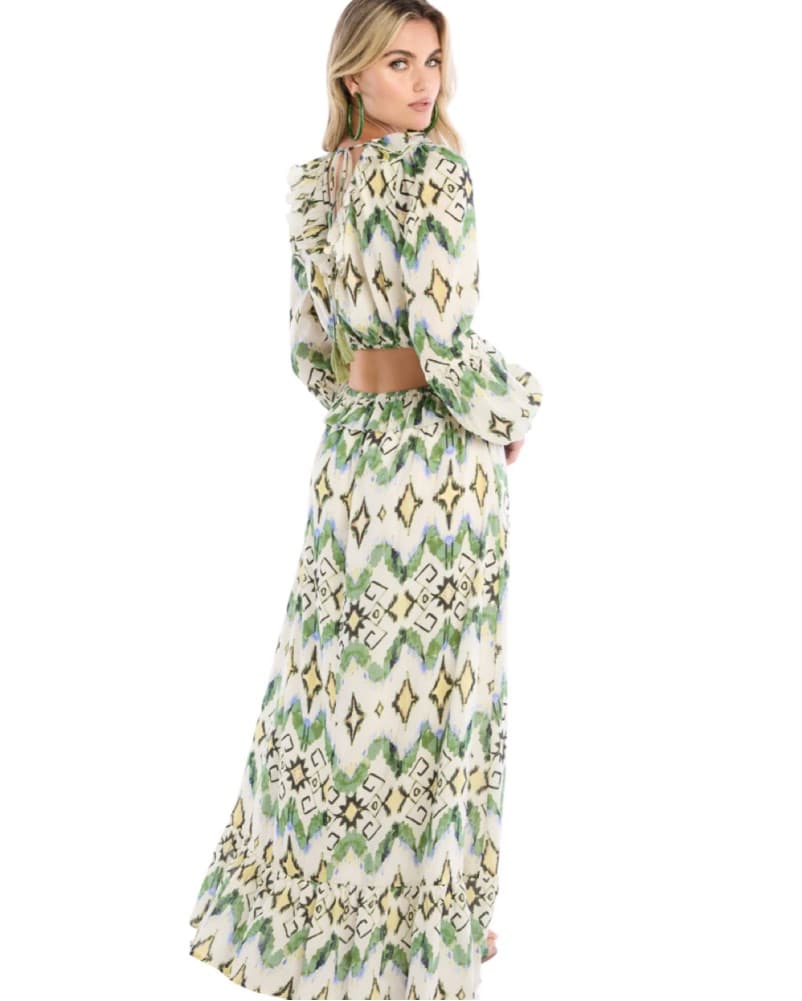Allison Everly Maxi Dress - Image 2