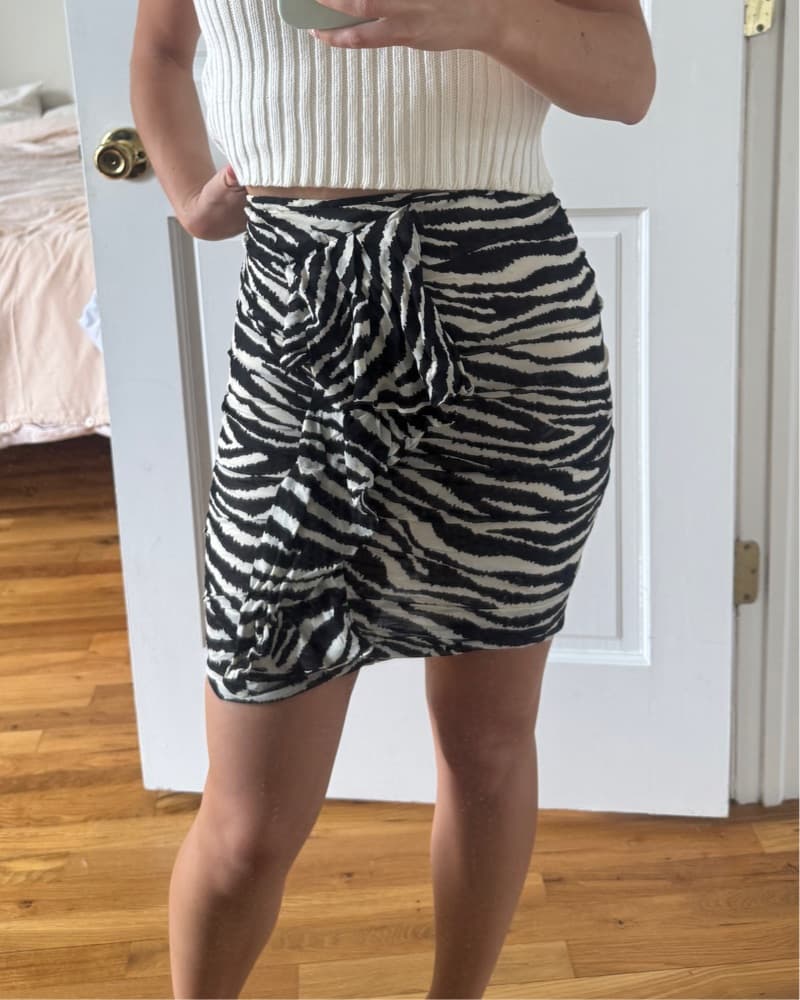 Isabel Marant Etoile Zebra Stripe Skirt - Image 2