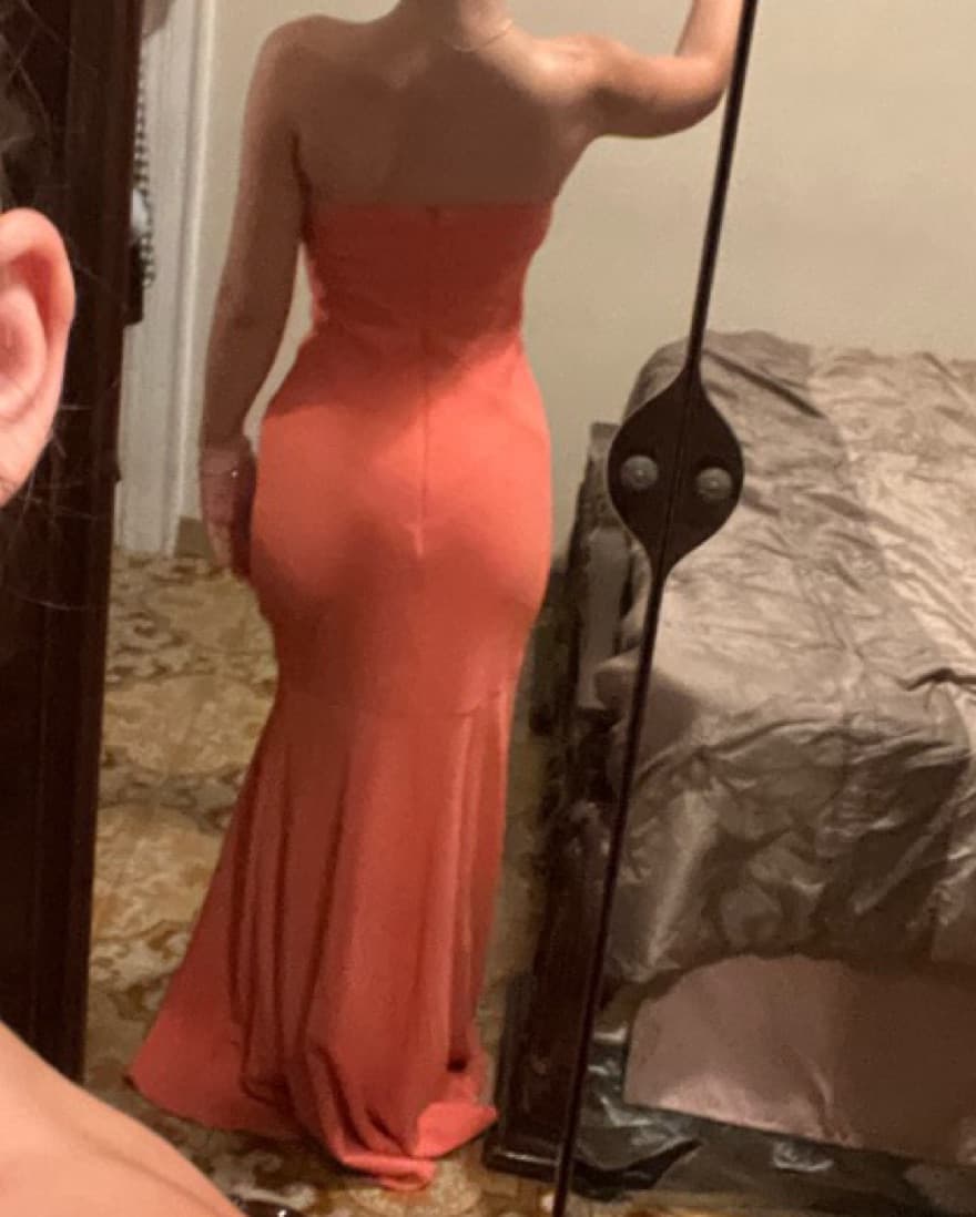 Pinky Peach Formal Dress  - Image 2