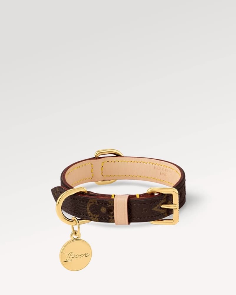 Louis vuitton Pet Collar  - Image 1