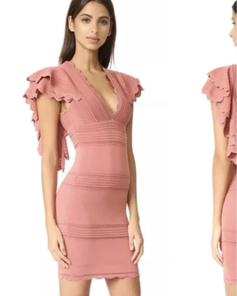 Ronny Kobo Pink Ruffle Dress In Rose - Image 1