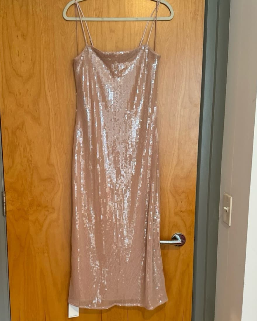 Dusty Rose Sequin Dress  - Image 4