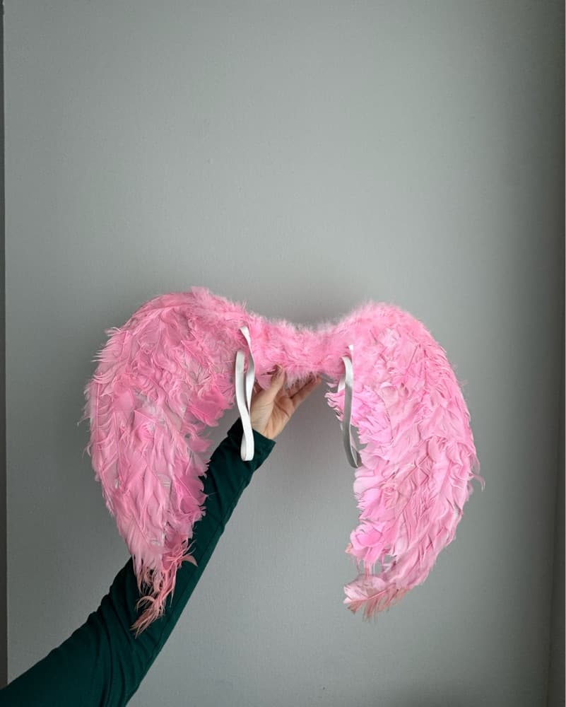 Pink Angel Wings - Image 2