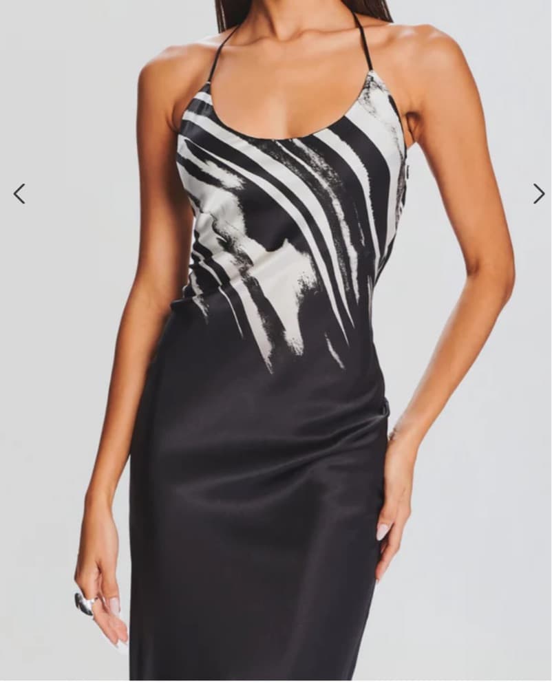 Retrofete Zebra-Inspired Silk Gown - Image 5