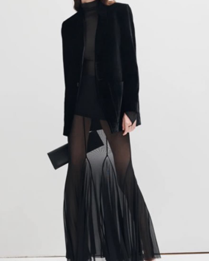 3 Piece Sheer Skirt Set & Velvet Blazer - Image 5