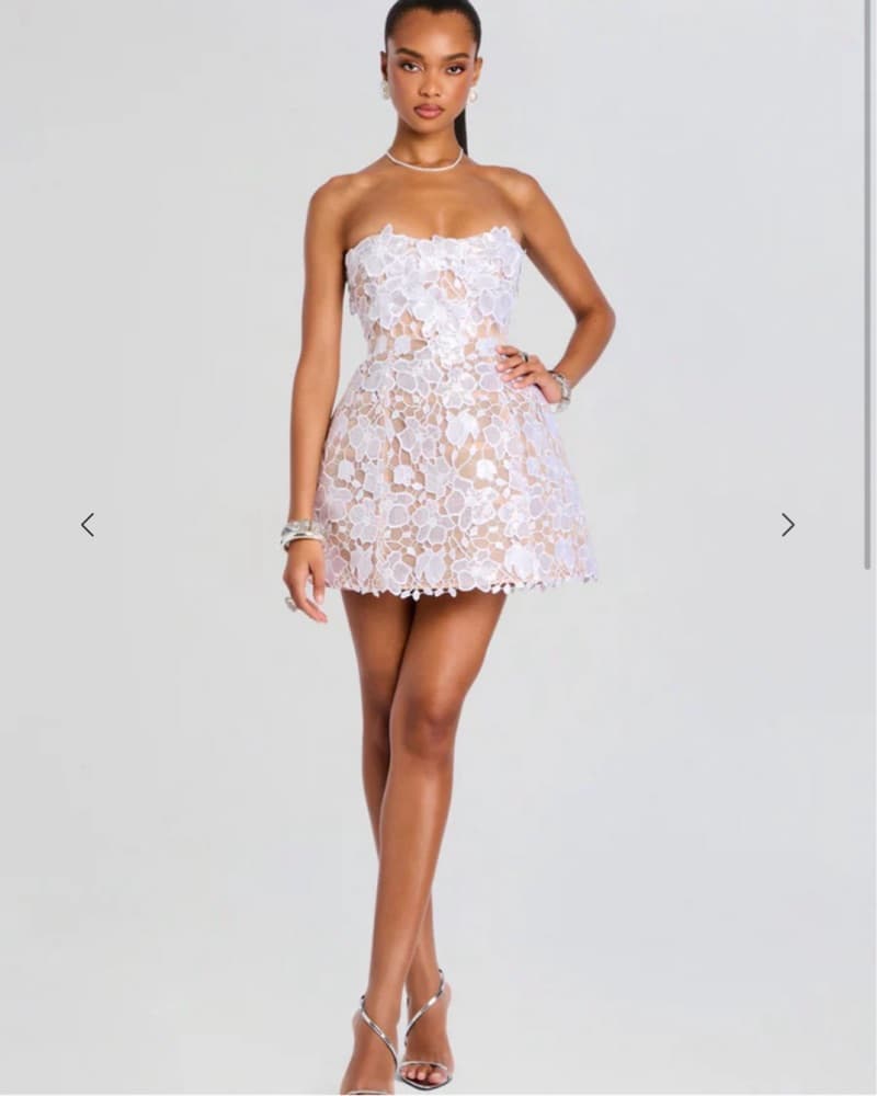 Retrofete Alira Lace Mini Dress - Image 3