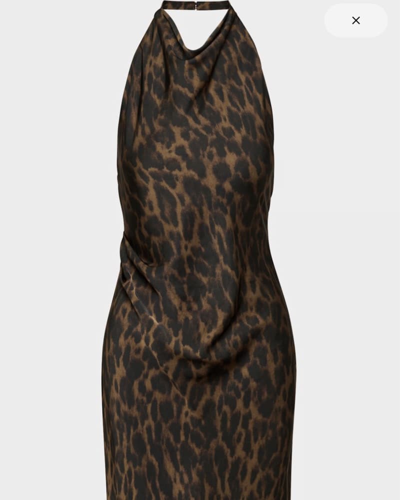 Aritzia Cheetah Satin Midi Dress - Image 1