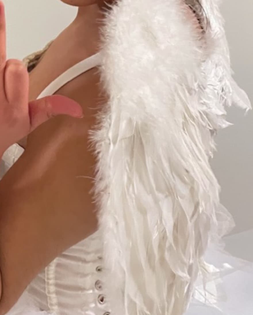 Feathered Wings - Image 2
