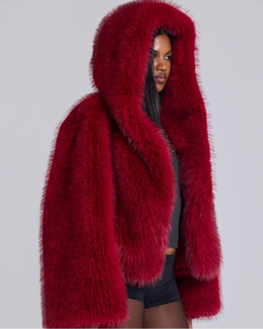 Jaded London -Mara Faux Fur Hooded Coat  - Image 2