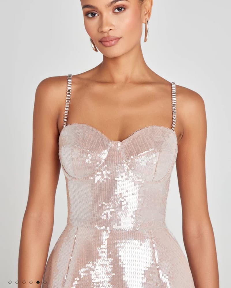 Nadine Merabi Leyton Champagne Dress - Image 3