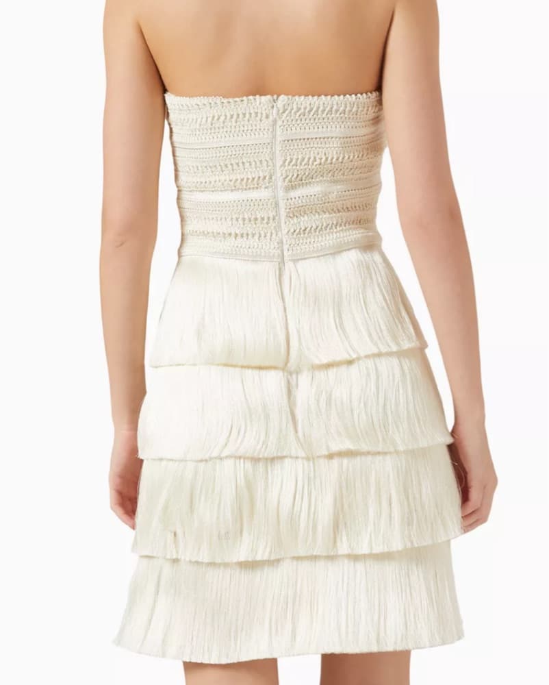PatBo Crochet Fringe Mini Dress - Image 3
