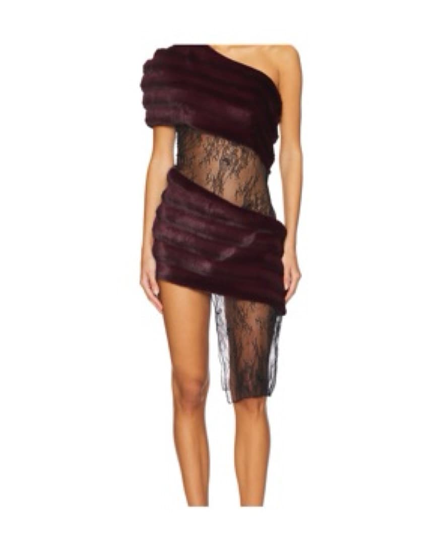 Alluring Burgundy Lace Dress - Image 1