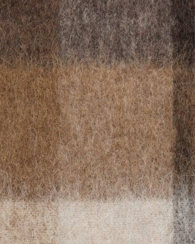 Acne Studios Check Fringe Scarf - Image 4