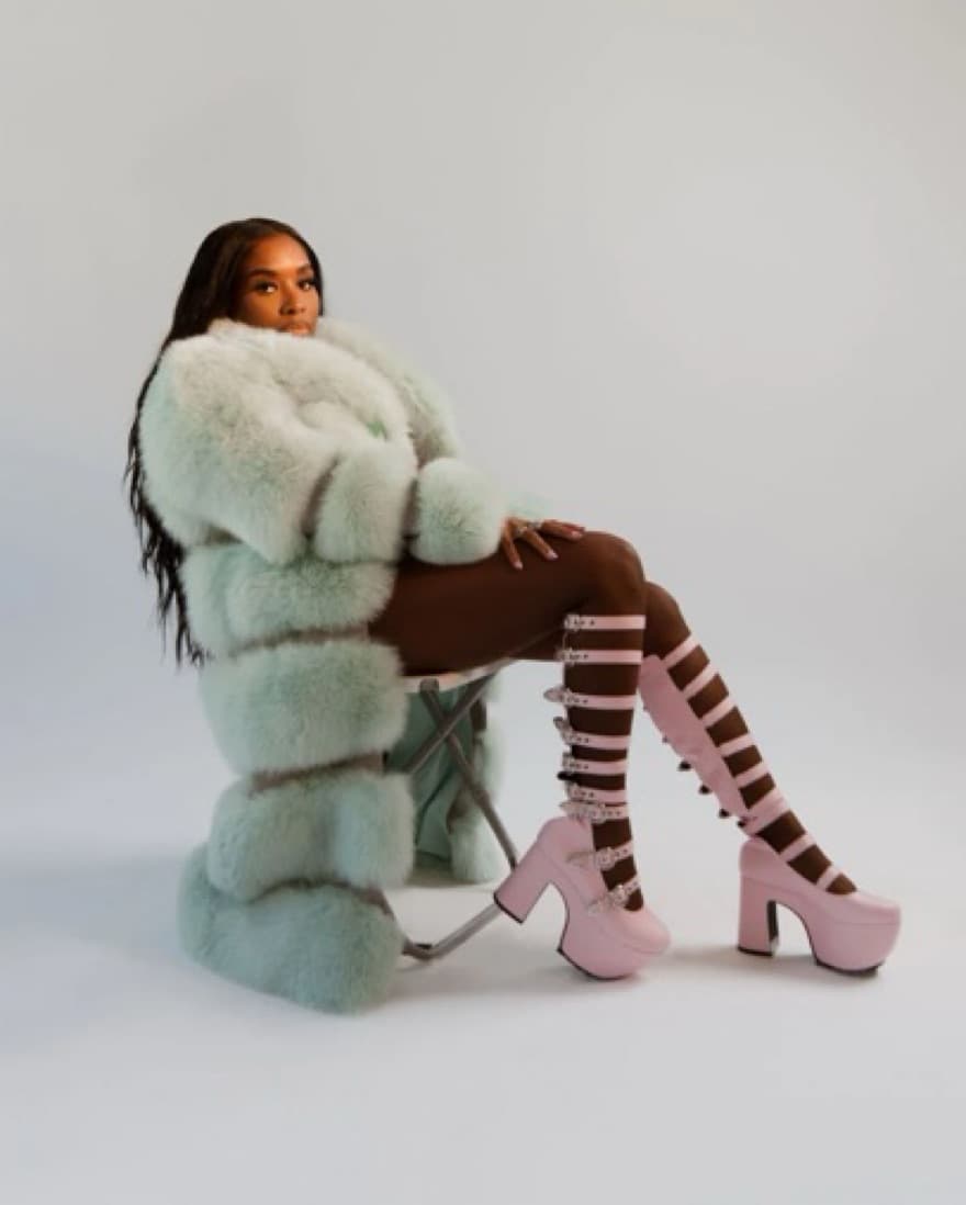SEV Furtique- Real/genuine Fox Fur - Image 1