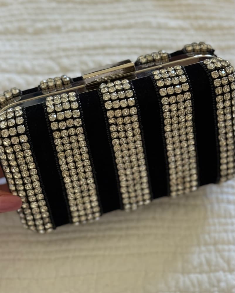 Revolve X St. Xavier Clutch - Image 4