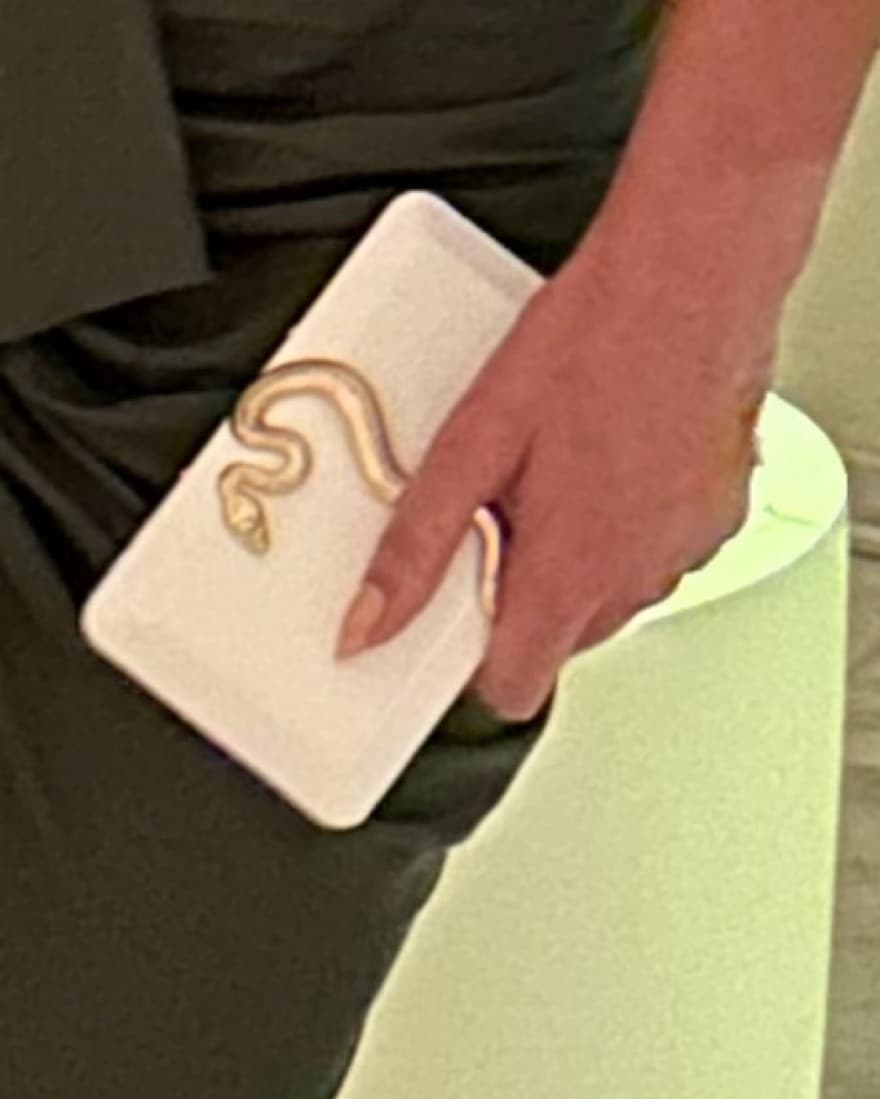 White Box Clutch with Gold Snake Detail - Image 6