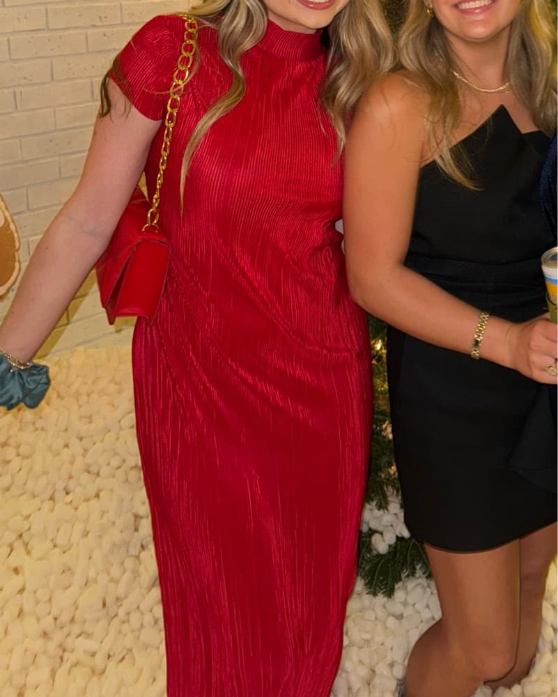 Long Red Dress - Image 1