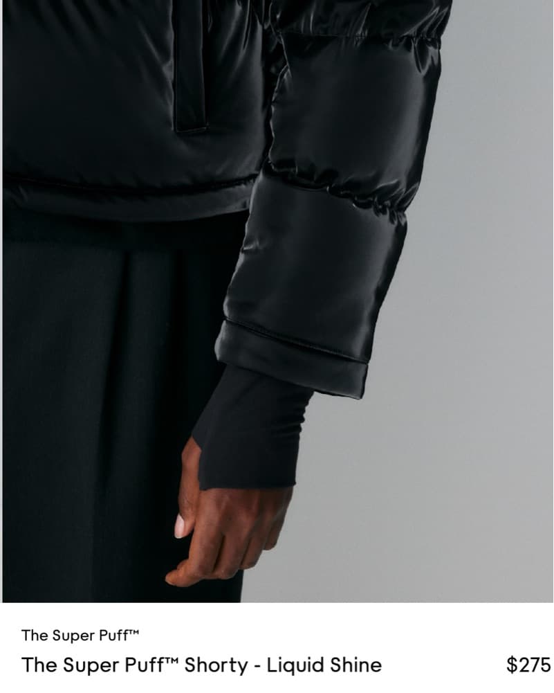 Aritzia Super Puff - Image 3
