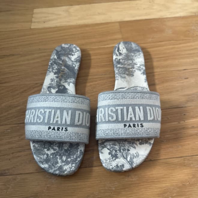 Dior Dway Slides - Gray Toile de Jouy Em - Image 2