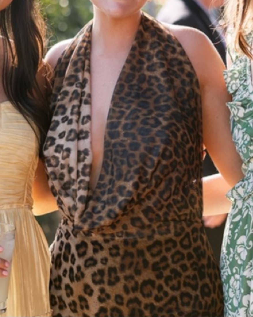 Zara Leopard Dress - Image 3