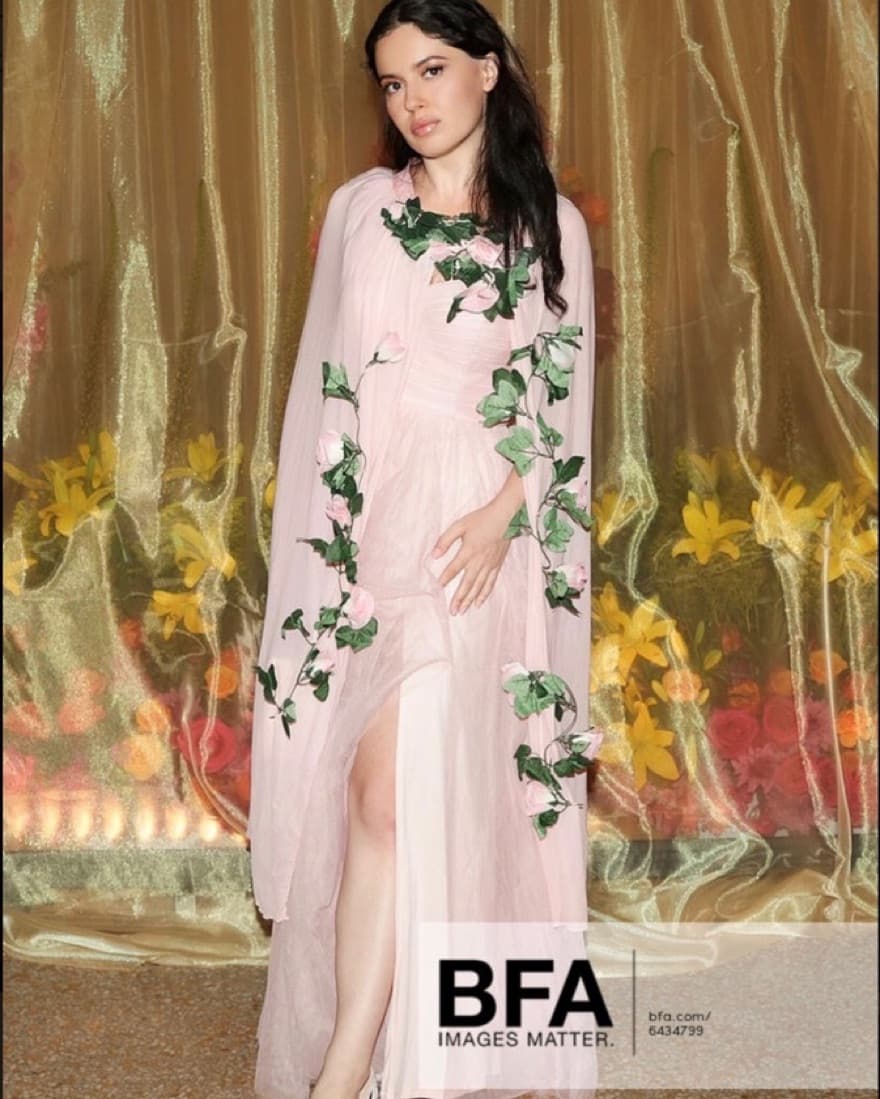 MET gala Pink Dress And Cape 💕 - Image 2