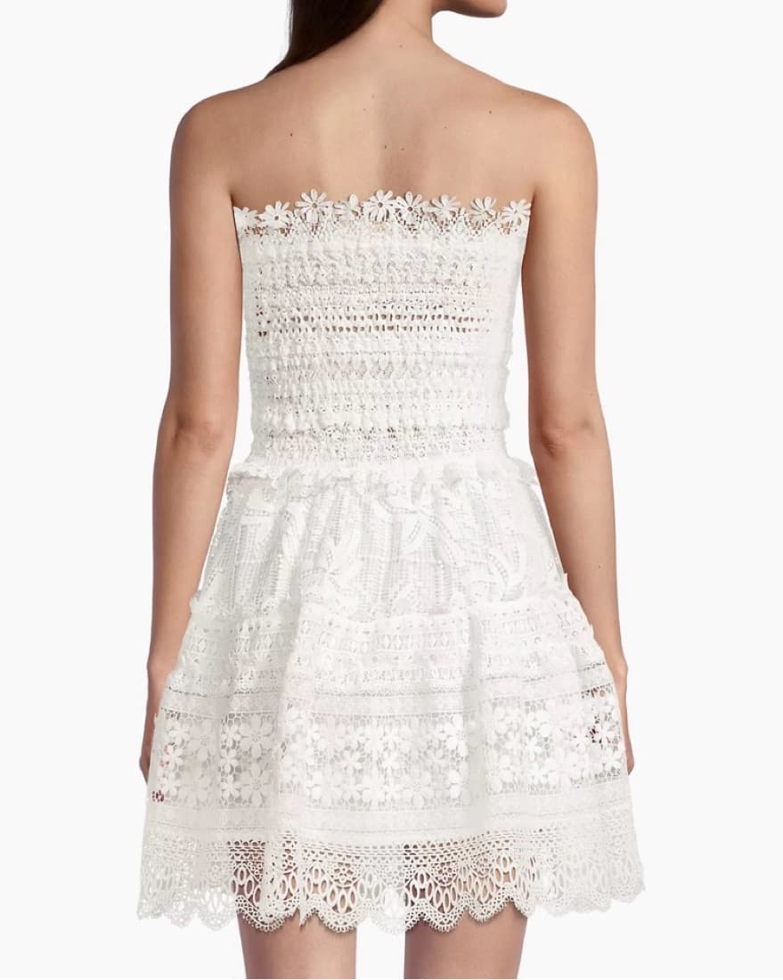 Waimari Vallarta Lace Minidress - Image 3