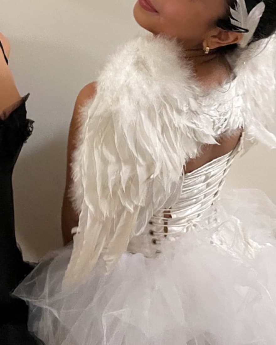 Feathered Wings - Image 1