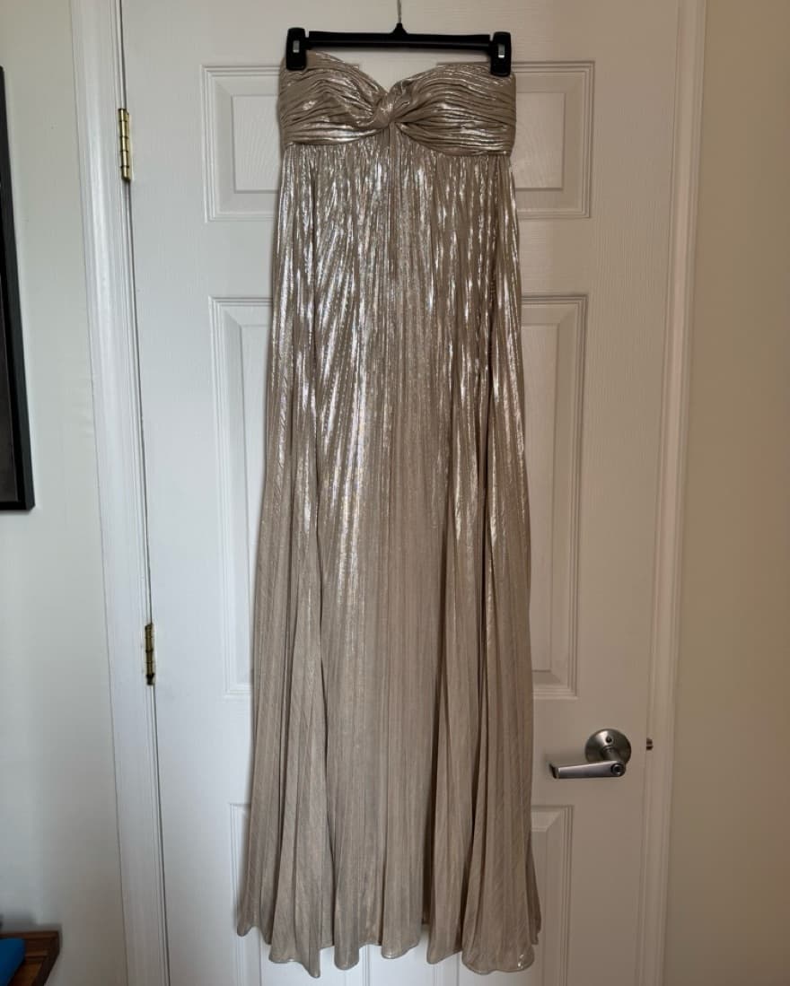 Retrofête Zoa Dress in Champagne - Image 4