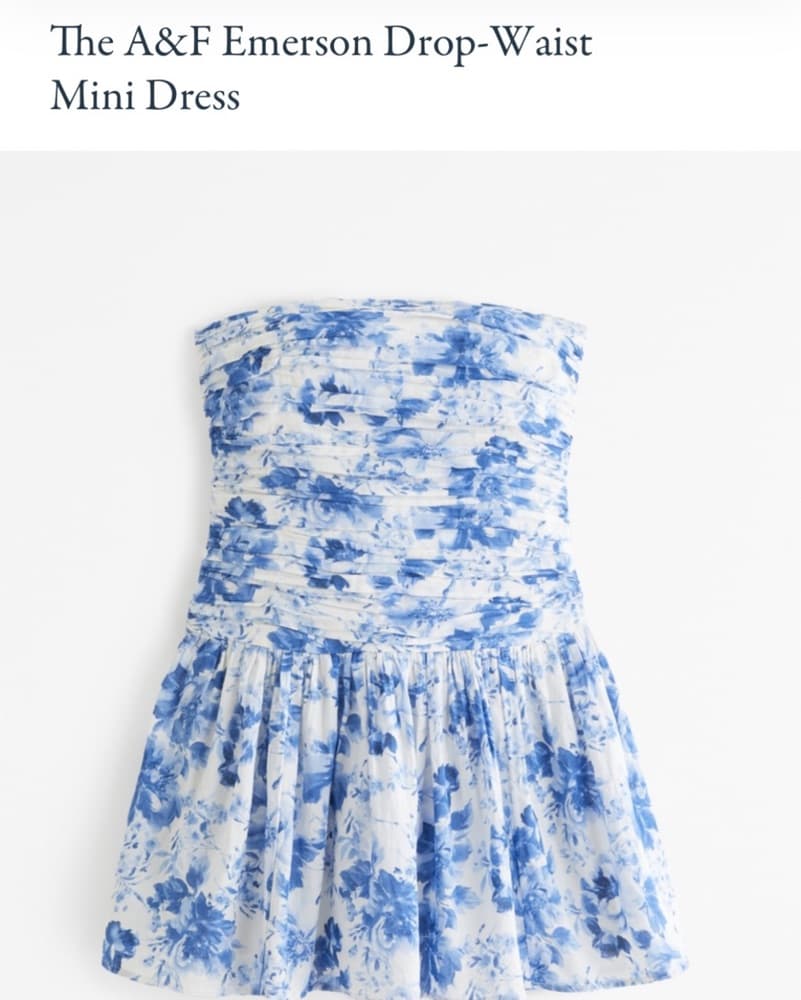 The A&F emerson Drop Waist Mini Dress - Image 1