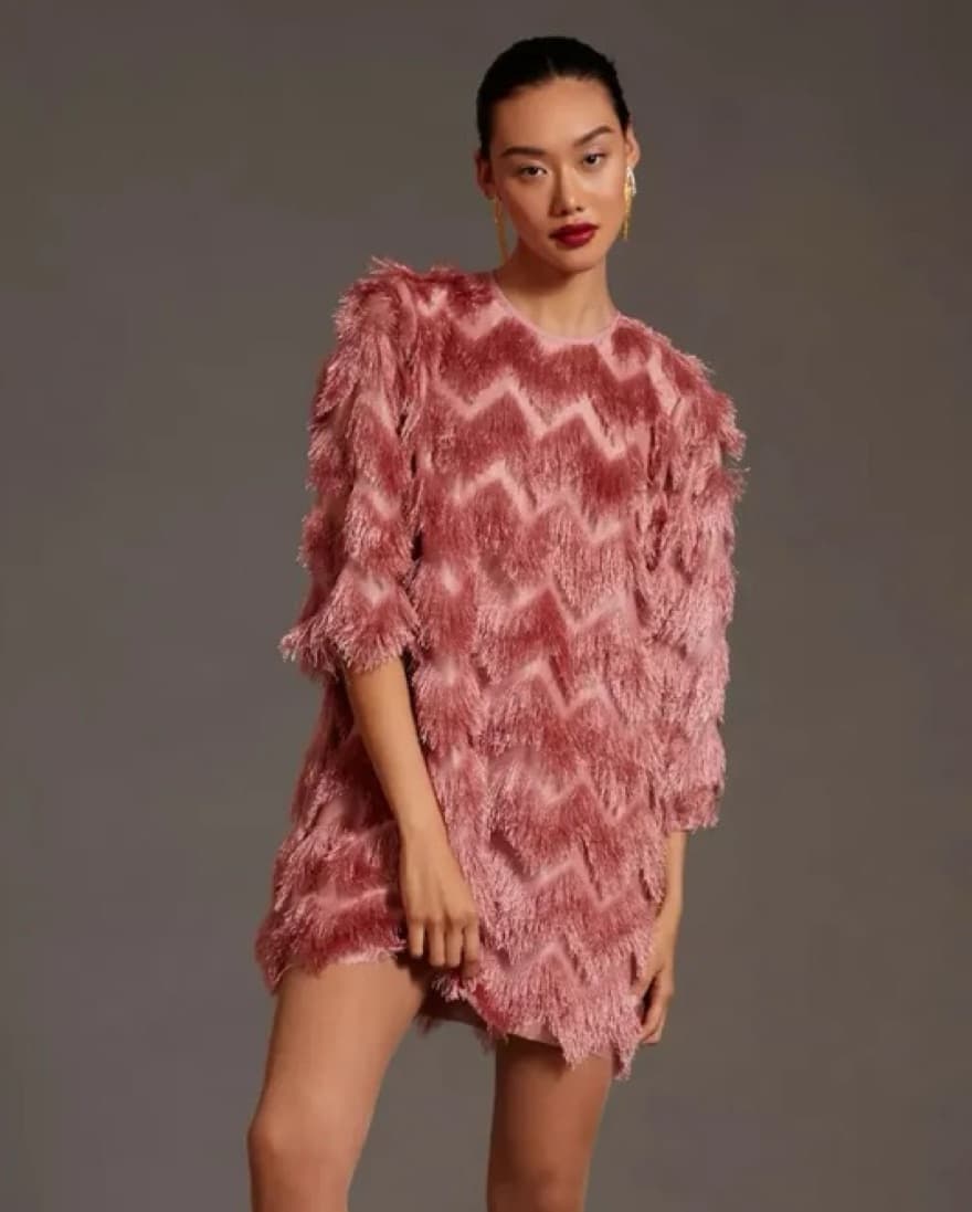 Anthropologie X Hutch Blush Fringe Dress - Image 4