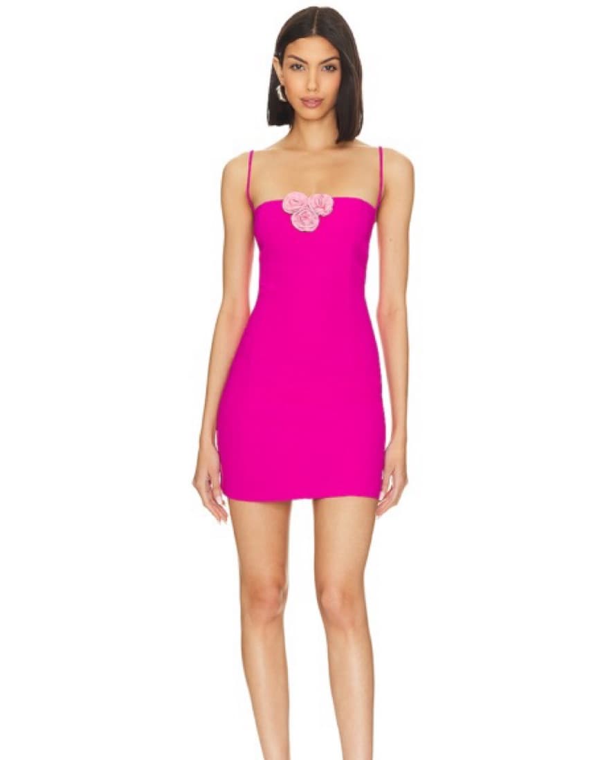 Revolve Sassy Dress - Image 1