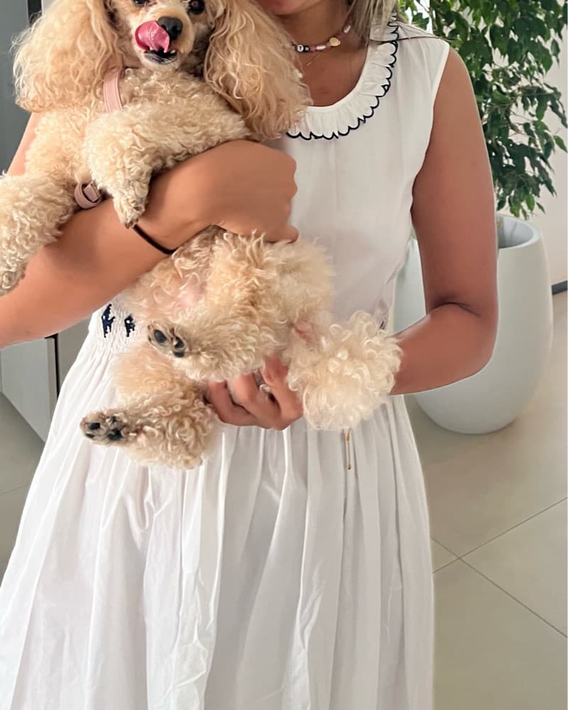 Miu Miu White Cotton Dress - Image 2