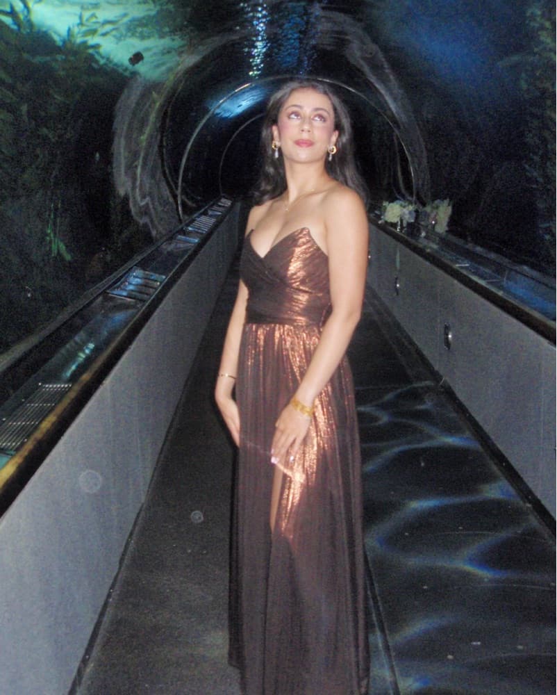 Retrofête Waldorf Dress - Image 1