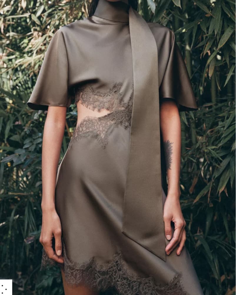 Zara Cutout Lace Dress - Image 5