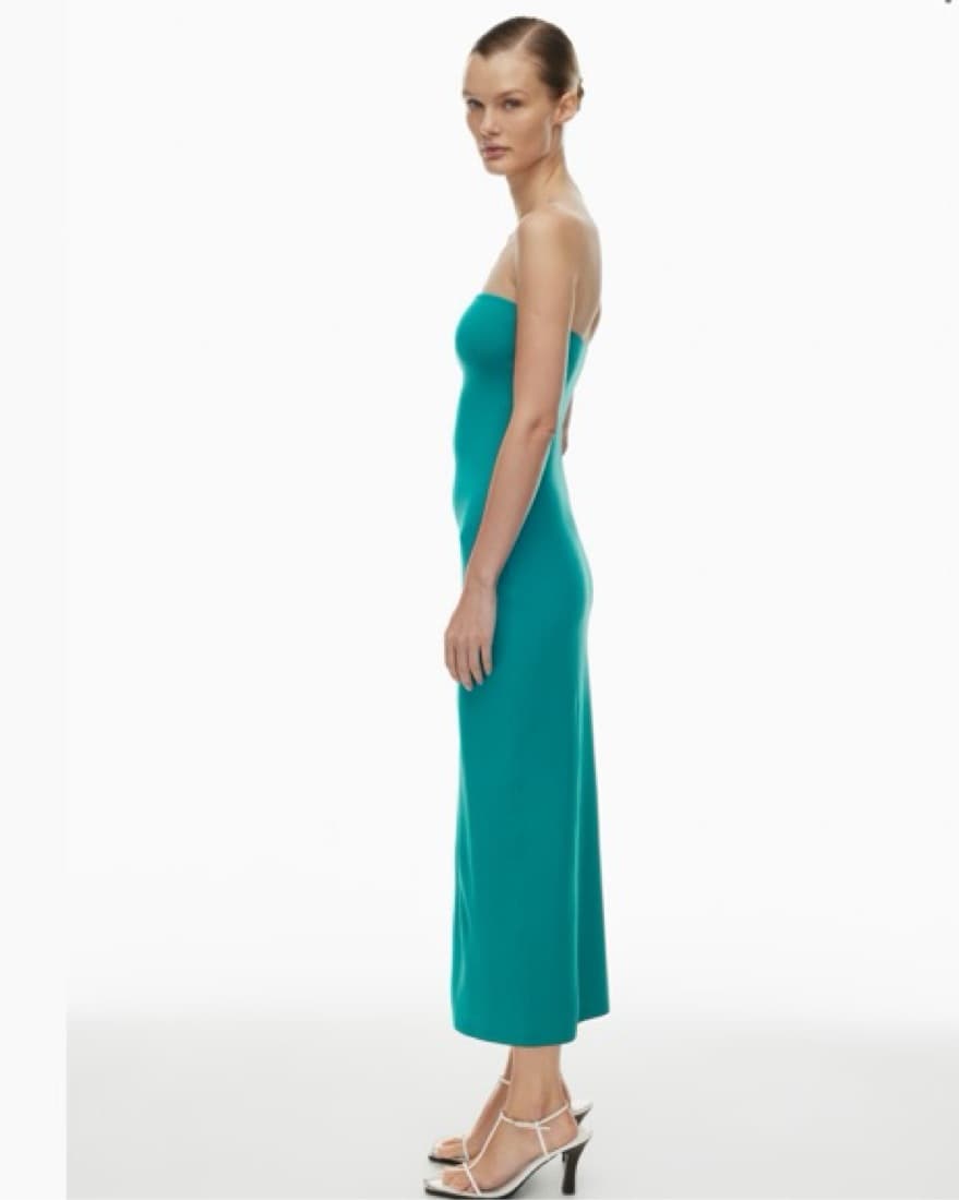 Aritzia Contour Maxi Tube Dress - Image 2