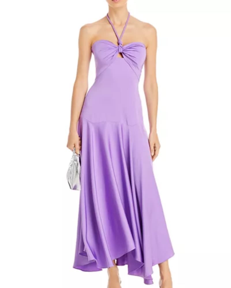 Anita Drop Waist Dress In Amythst  - Image 1