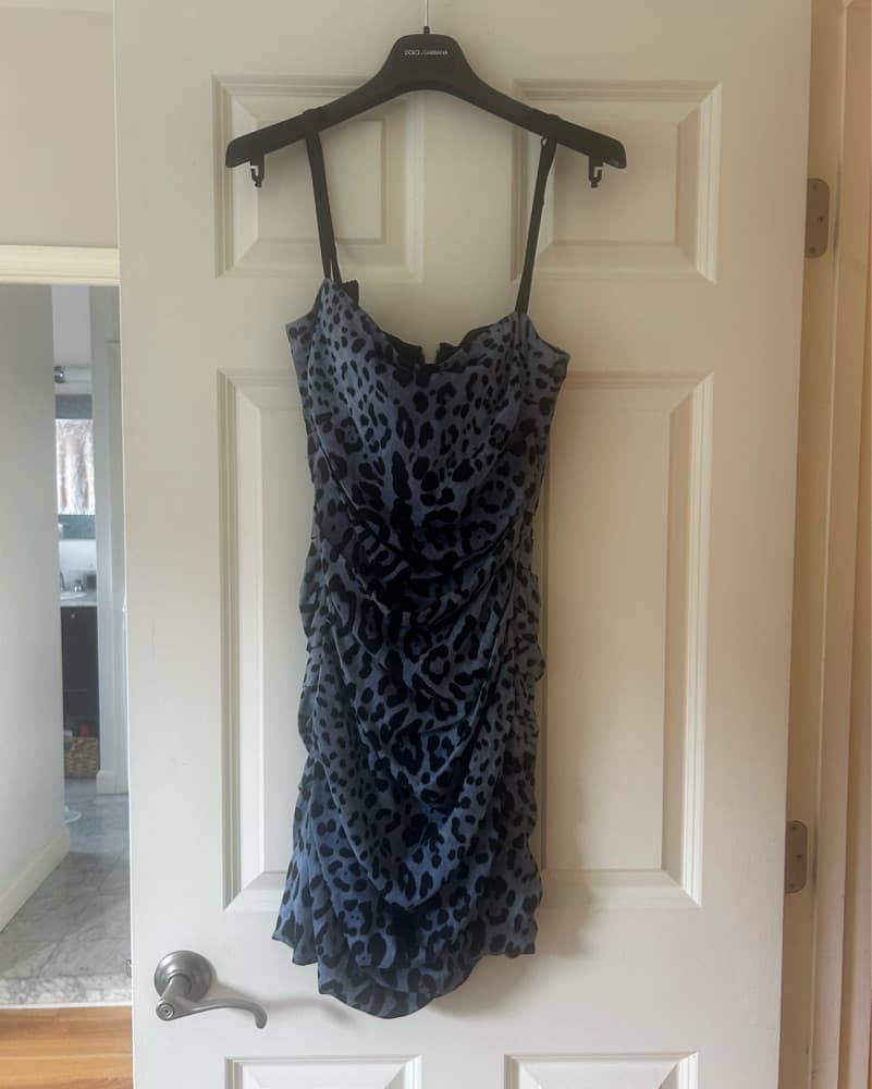 Dolce & Gabbana Blue Leopard Dress - Image 1