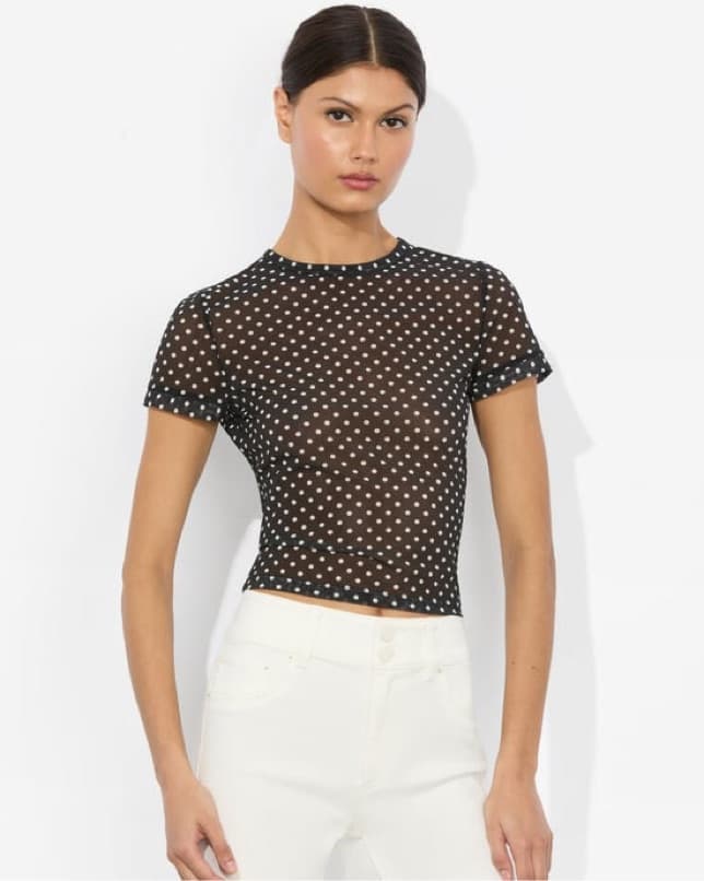 Aloce + Olivia Polka Dot Sheer T-Shirt - Image 1