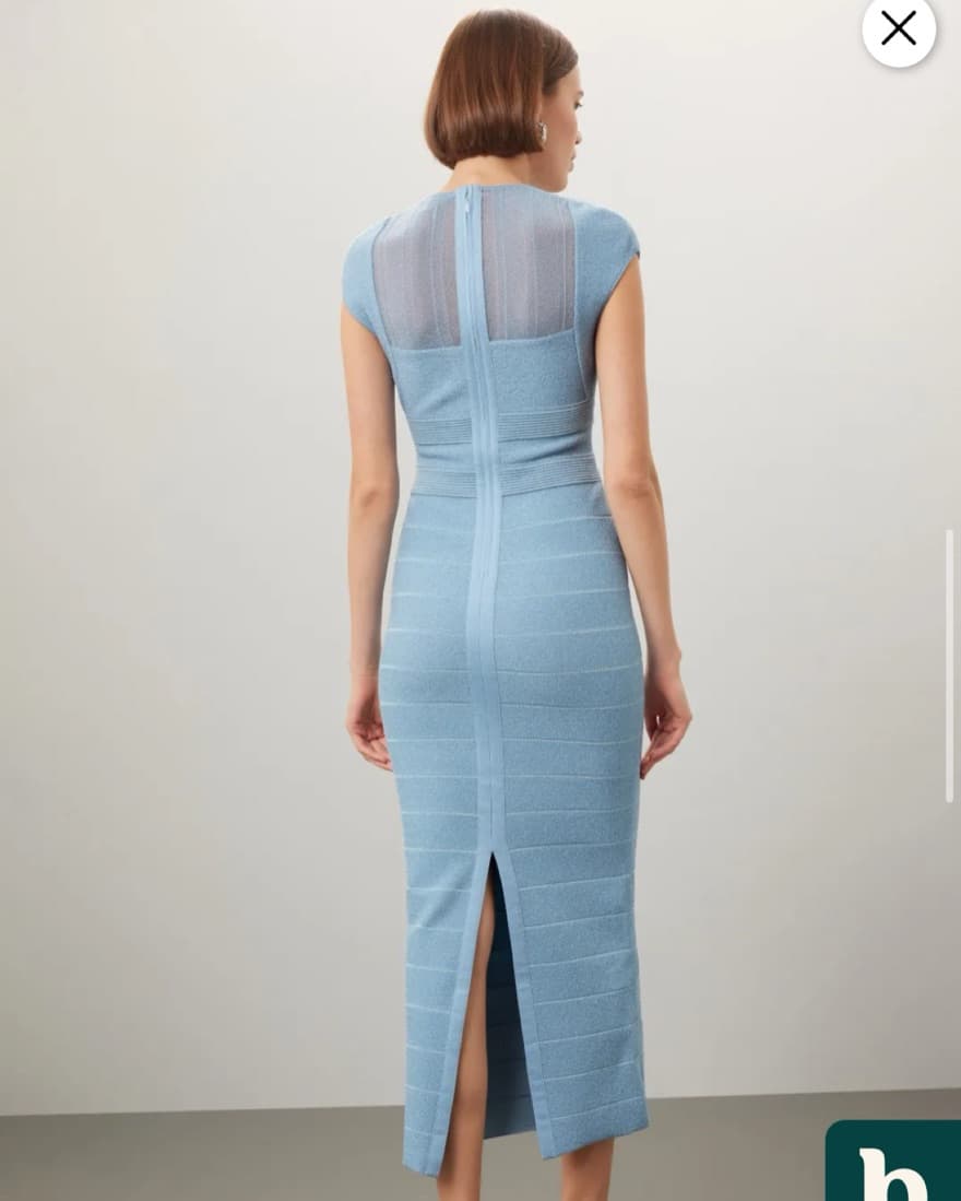 Herve Leger Sheer Bustier Gown - Image 4