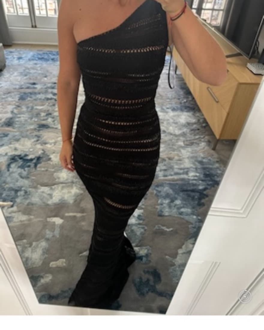Herve Leger Beaded Evening Gown - Image 1