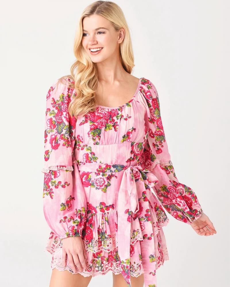 LoveShack Fancy Pink Nad Red Mini Dress - Image 1