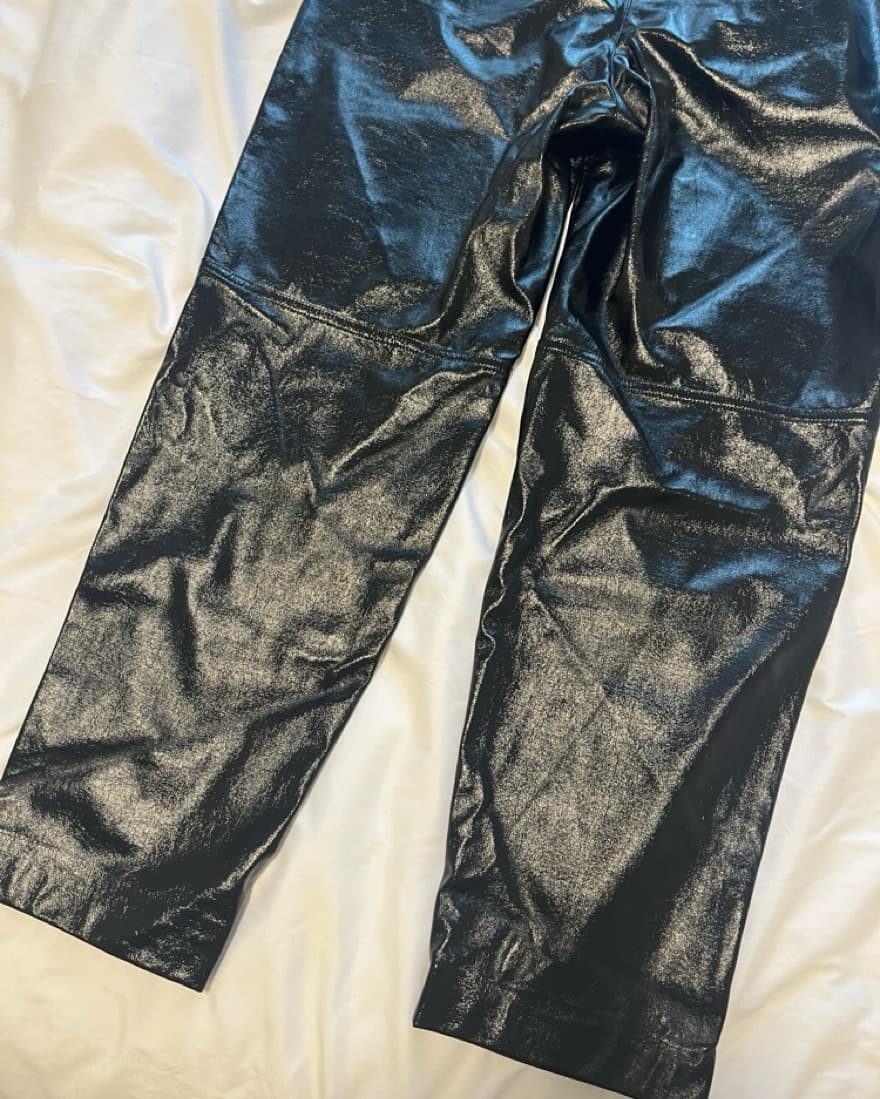 Aritizia Metallic Leather Pants - Image 4