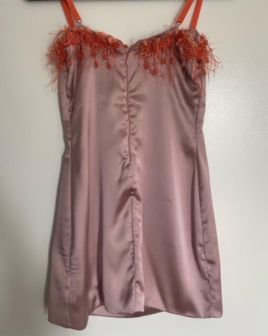 Danielle Guizio Dress - Image 5