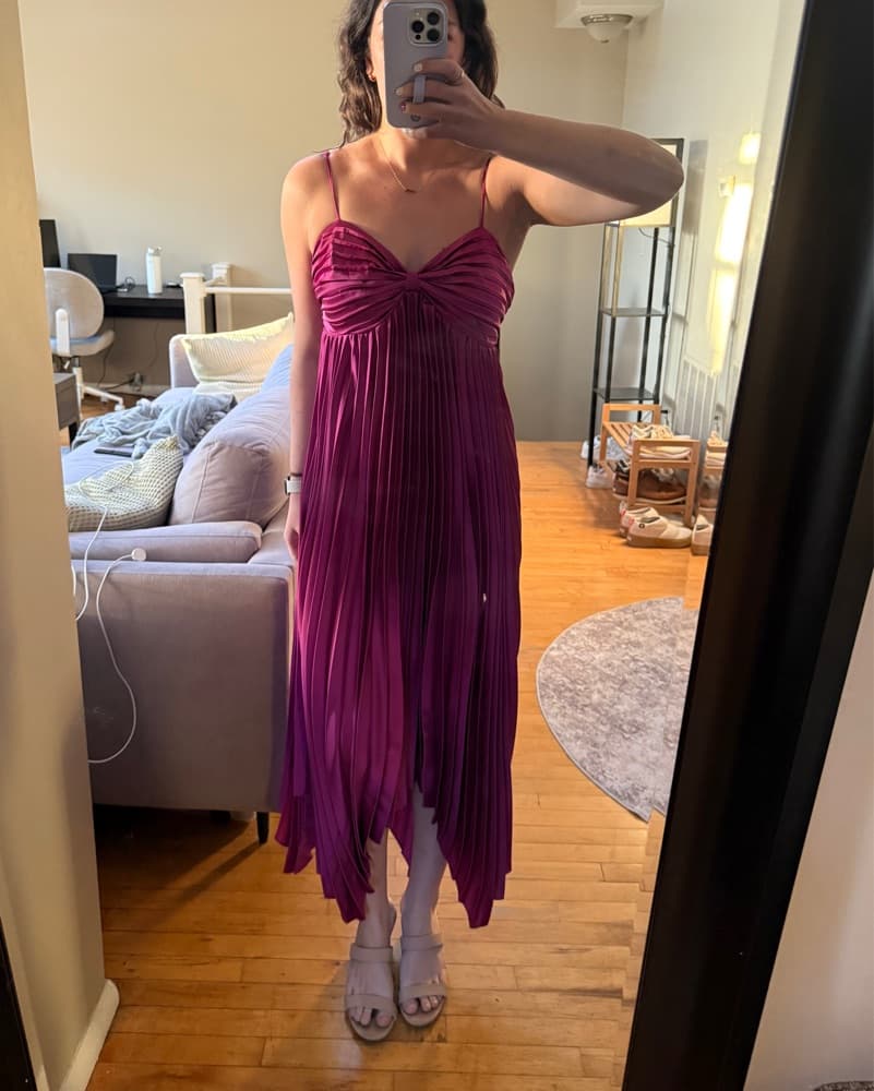 Petal & Pup Fuchsia Pleated Midi Dress - Image 3