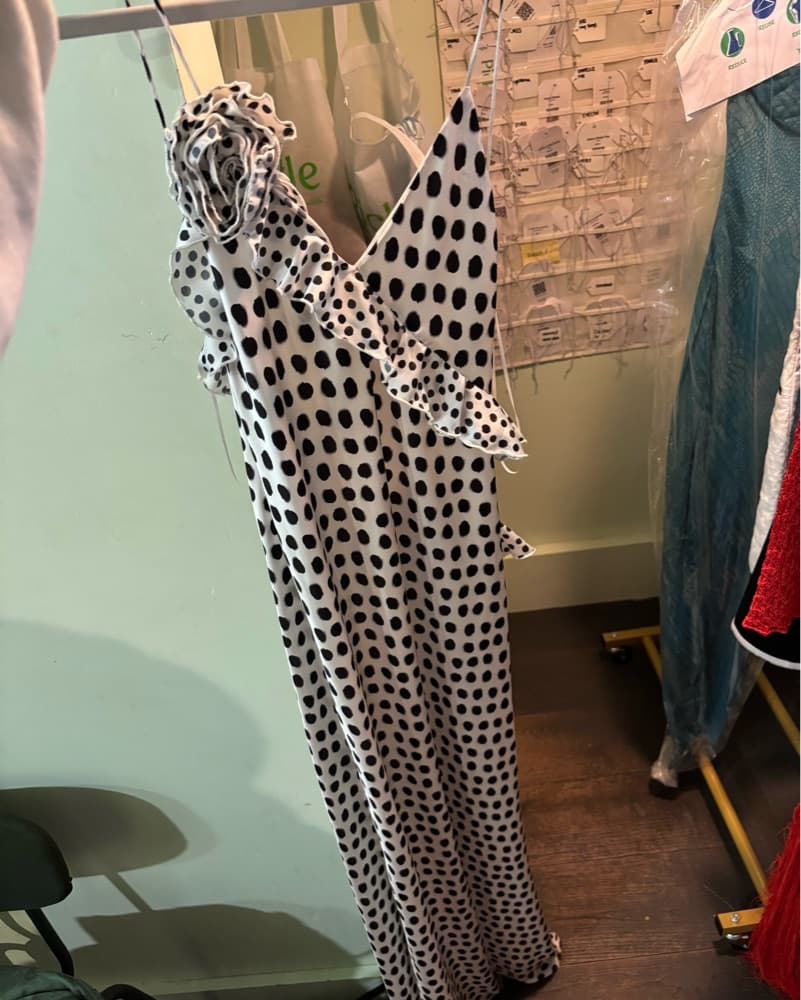 Zara Polka Dot Dress - Image 1